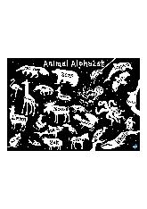 Animal alphabet