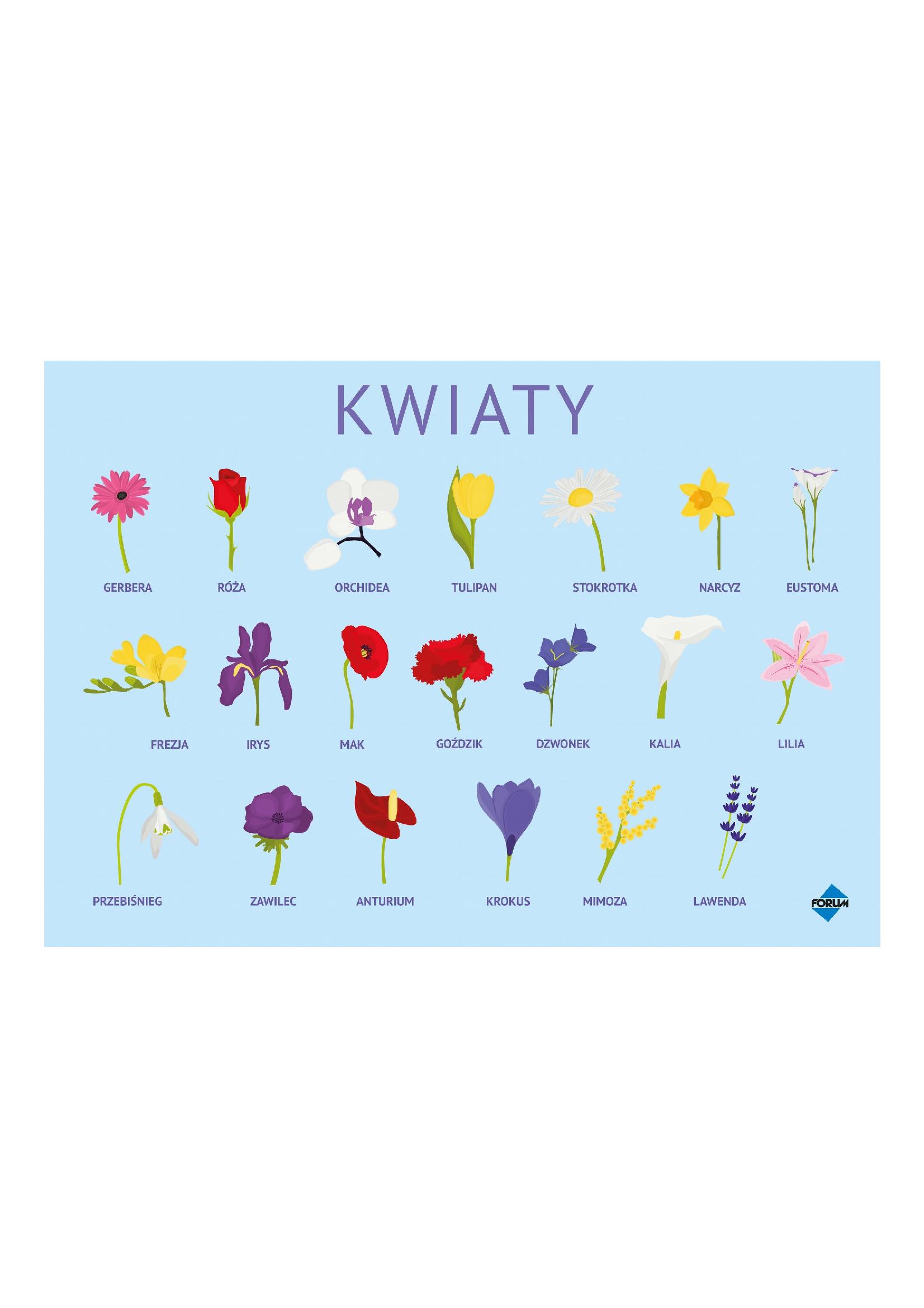 Kwiaty