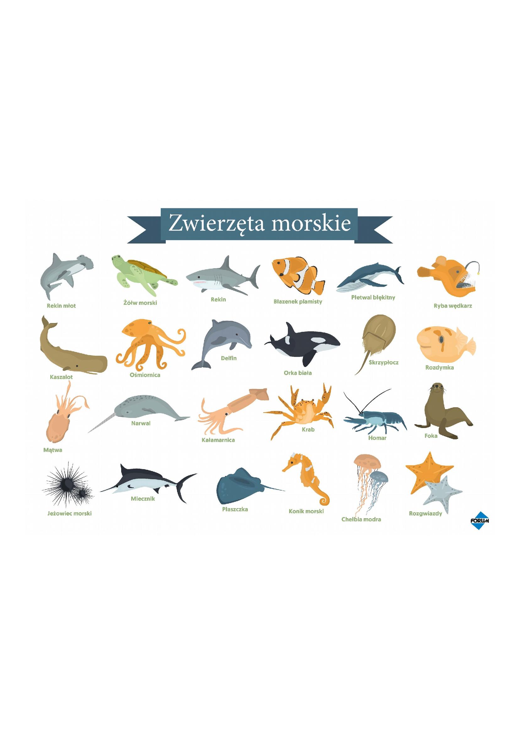 Zwierzęta morskie