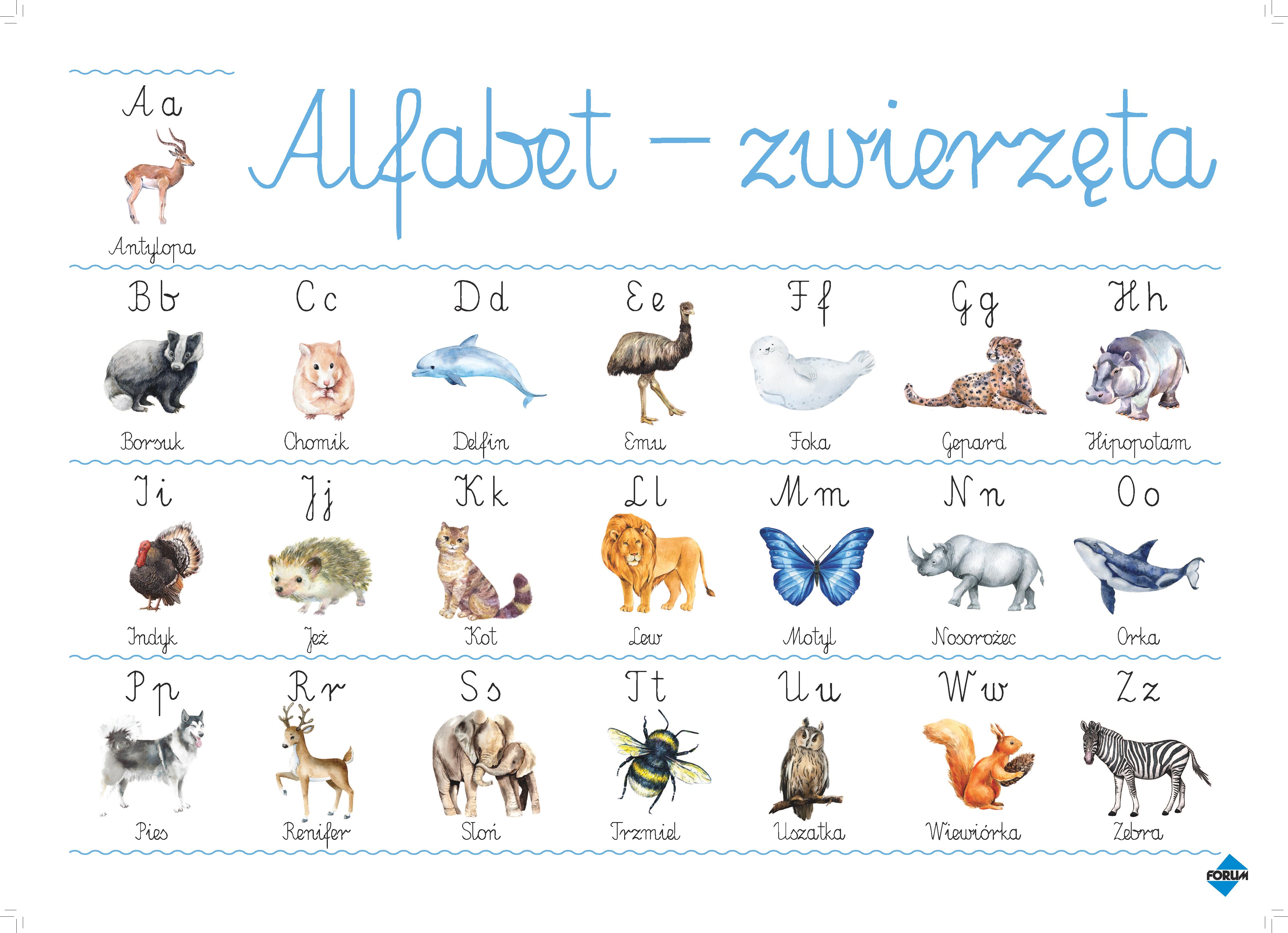 Alfabet ze zwierzętami